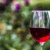 What is Mead?